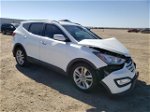 2014 Hyundai Santa Fe Sport  White vin: 5XYZU3LA9EG221843