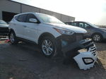 2014 Hyundai Santa Fe Sport  White vin: 5XYZU3LA9EG227495