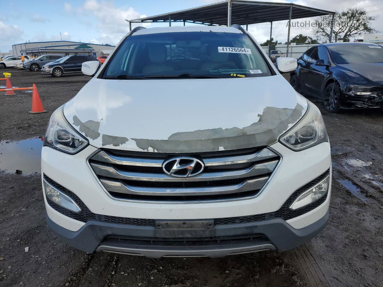 2013 Hyundai Santa Fe Sport  White vin: 5XYZU3LAXDG120891