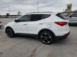 2014 Hyundai Santa Fe Sport  Белый vin: 5XYZU3LAXEG124702