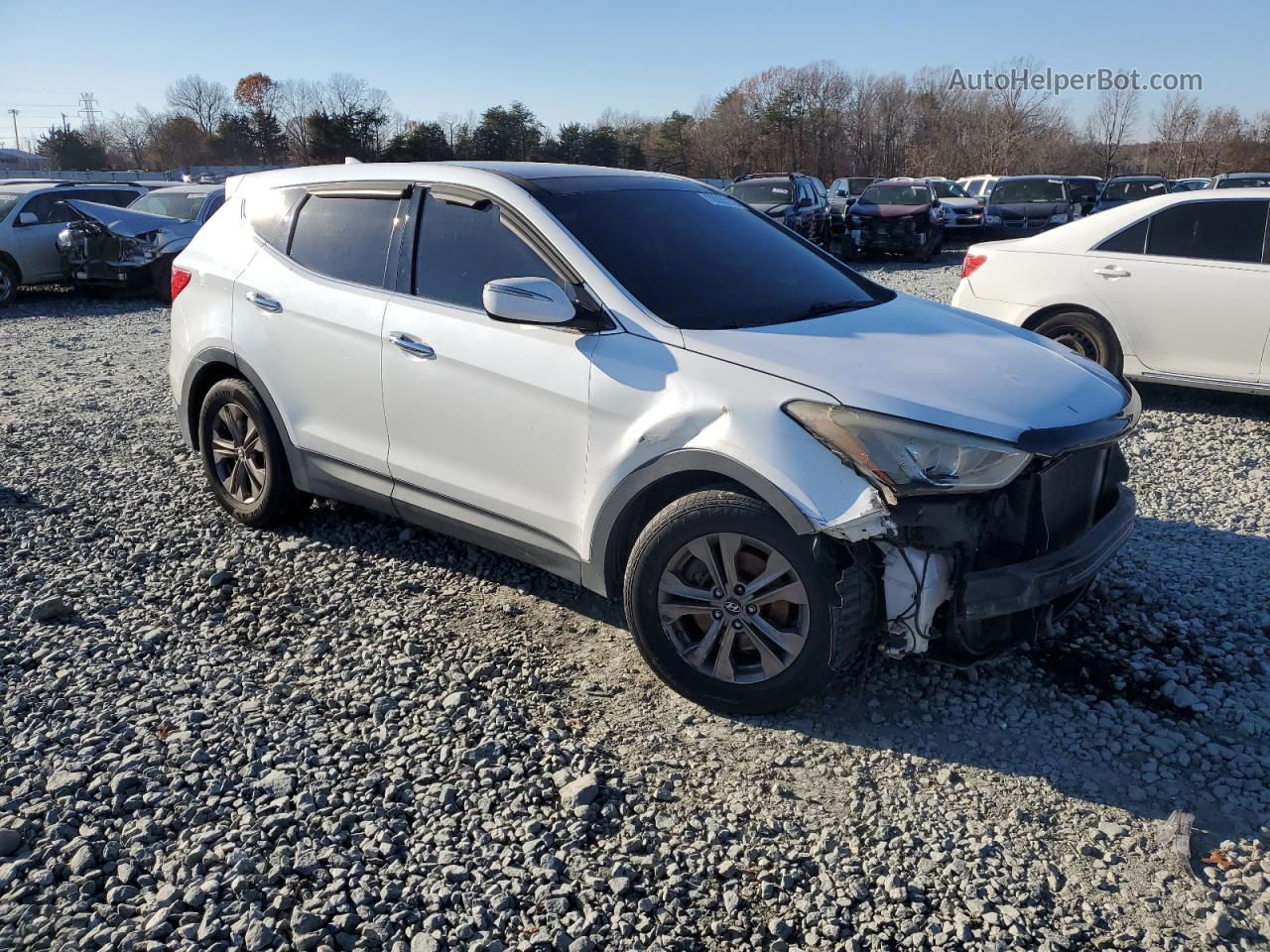 2013 Hyundai Santa Fe Sport  Белый vin: 5XYZU3LB0DG010408