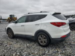 2013 Hyundai Santa Fe Sport  Белый vin: 5XYZU3LB0DG096819