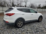 2013 Hyundai Santa Fe Sport  White vin: 5XYZU3LB0DG096819