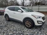 2013 Hyundai Santa Fe Sport  White vin: 5XYZU3LB0DG096819