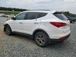 2014 Hyundai Santa Fe Sport  White vin: 5XYZU3LB0EG157491