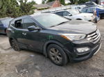 2014 Hyundai Santa Fe Sport  Черный vin: 5XYZU3LB0EG161671