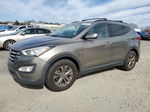 2014 Hyundai Santa Fe Sport  Gray vin: 5XYZU3LB2EG167911