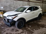 2013 Hyundai Santa Fe Sport  White vin: 5XYZU3LB6DG103224