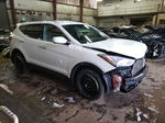 2013 Hyundai Santa Fe Sport  White vin: 5XYZU3LB6DG103224