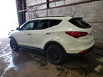 2013 Hyundai Santa Fe Sport  White vin: 5XYZU3LB6DG103224