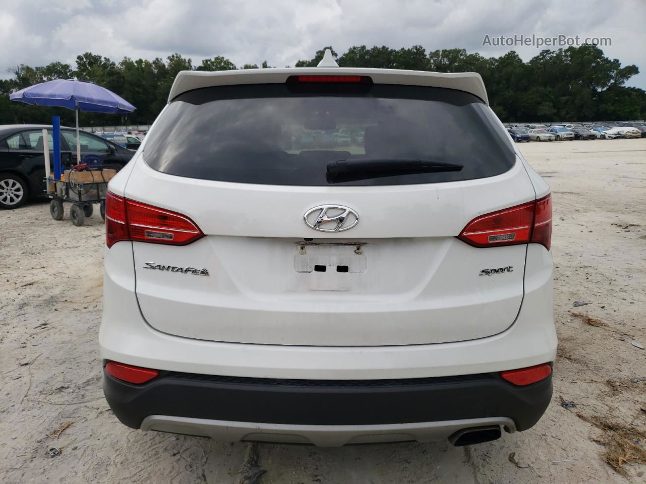 2013 Hyundai Santa Fe Sport  White vin: 5XYZU3LB6DG123392