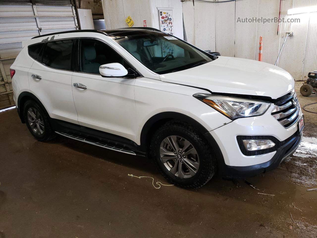 2014 Hyundai Santa Fe Sport  White vin: 5XYZU3LB6EG151999