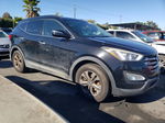 2015 Hyundai Santa Fe Sport  Black vin: 5XYZU3LB6FG266457