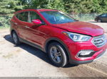 2018 Hyundai Santa Fe Sport 2.4l Красный vin: 5XYZU3LB6JG512092