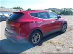 2018 Hyundai Santa Fe Sport 2.4l Red vin: 5XYZU3LB6JG512092