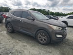 2013 Hyundai Santa Fe Sport  Charcoal vin: 5XYZU3LB7DG023348