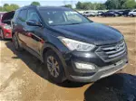 2013 Hyundai Santa Fe Sport  Black vin: 5XYZU3LB7DG081265