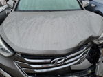 2014 Hyundai Santa Fe Sport  Серый vin: 5XYZU3LB8EG150532