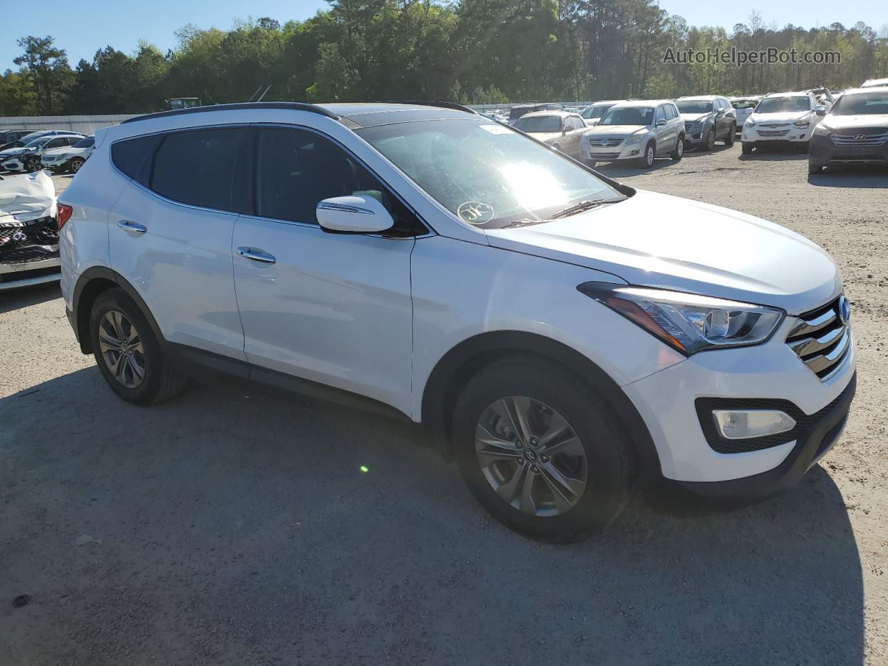 2014 Hyundai Santa Fe Sport  White vin: 5XYZU3LB8EG189976