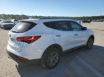 2014 Hyundai Santa Fe Sport  White vin: 5XYZU3LB8EG189976