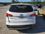 2014 Hyundai Santa Fe Sport  White vin: 5XYZU3LB8EG189976