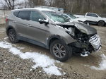 2013 Hyundai Santa Fe Sport  Gray vin: 5XYZU3LB9DG001903