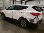 2013 Hyundai Santa Fe Sport  Белый vin: 5XYZU3LB9DG105808