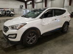 2013 Hyundai Santa Fe Sport  Белый vin: 5XYZU3LB9DG105808