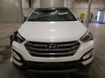 2013 Hyundai Santa Fe Sport  Белый vin: 5XYZU3LB9DG105808