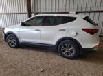 2013 Hyundai Santa Fe Sport  White vin: 5XYZU3LB9DG117182