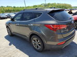 2014 Hyundai Santa Fe Sport  Серый vin: 5XYZU3LB9EG161782