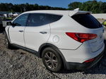 2013 Hyundai Santa Fe Sport  White vin: 5XYZU3LBXDG087755