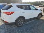 2013 Hyundai Santa Fe Sport  White vin: 5XYZU3LBXDG087755