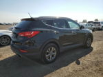 2014 Hyundai Santa Fe Sport  Black vin: 5XYZU3LBXEG154615