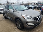 2014 Hyundai Santa Fe Sport  Gray vin: 5XYZU3LBXEG229765