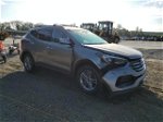 2018 Hyundai Santa Fe Sport  Gray vin: 5XYZU3LBXJG567807