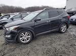 2014 Hyundai Santa Fe Sport  Black vin: 5XYZUDLA4EG196825