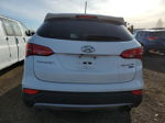 2013 Hyundai Santa Fe Sport  White vin: 5XYZUDLA5DG029842