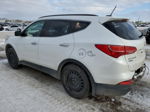 2014 Hyundai Santa Fe Sport  Белый vin: 5XYZUDLA5EG172596