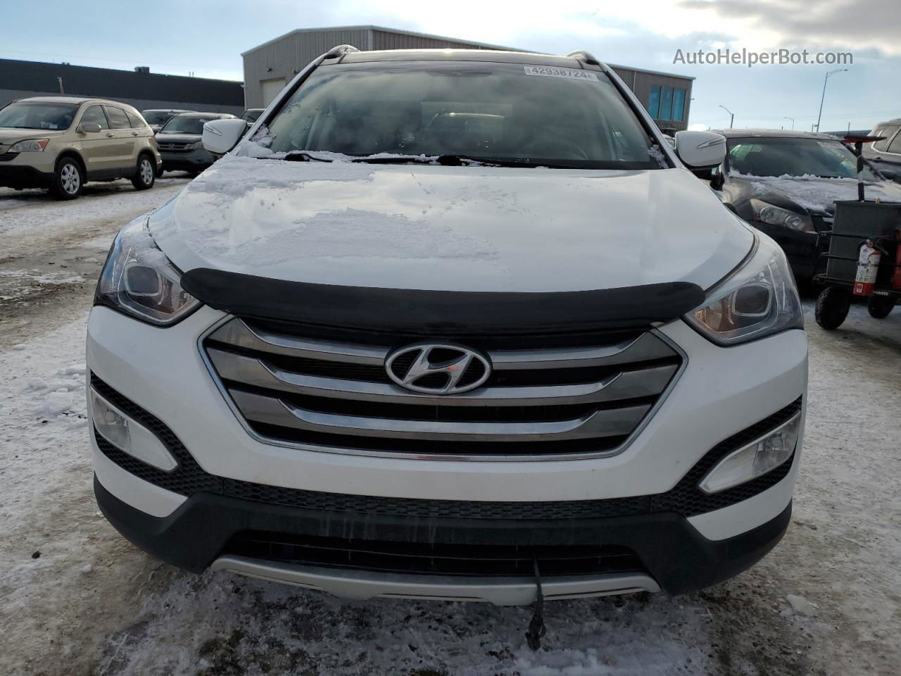 2014 Hyundai Santa Fe Sport  White vin: 5XYZUDLA5EG172596