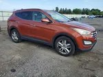 2013 Hyundai Santa Fe Sport  Оранжевый vin: 5XYZUDLA6DG045225