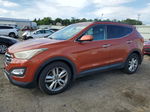 2013 Hyundai Santa Fe Sport  Orange vin: 5XYZUDLA6DG045225