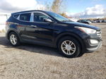 2013 Hyundai Santa Fe Sport  Черный vin: 5XYZUDLA7DG077374