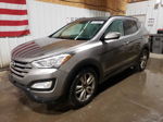 2013 Hyundai Santa Fe Sport  Серый vin: 5XYZUDLA8DG037286