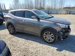 2013 Hyundai Santa Fe Sport  Gray vin: 5XYZUDLA9DG005351