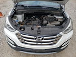 2013 Hyundai Santa Fe Sport  Белый vin: 5XYZUDLB0DG061994