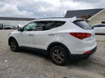 2013 Hyundai Santa Fe Sport  Белый vin: 5XYZUDLB0DG061994