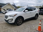 2013 Hyundai Santa Fe Sport  Белый vin: 5XYZUDLB0DG061994