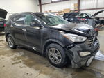 2014 Hyundai Santa Fe Sport  Black vin: 5XYZUDLB0EG177343