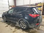 2014 Hyundai Santa Fe Sport  Черный vin: 5XYZUDLB0EG177343